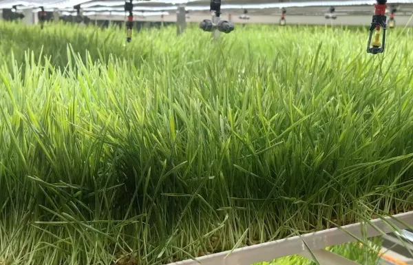 640 (1).webp (2).png